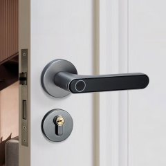 Blitz Lock Akıllı Kilit Sistemi Beta Gri