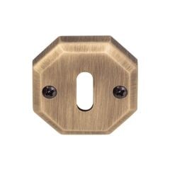 Hafele Köşeli Oda Kapı Kolu Rozeti 55mm, Antik Bronz Renk